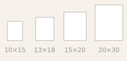 Untitled2.png?ts=1781108055